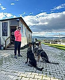 Grande Sole Dog Resort Egitim