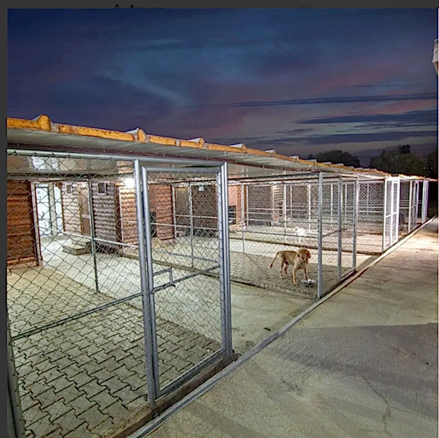Grande Sole Dog Resort Resim